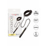 Collare con guinzaglio Boundless Collar & Leash