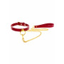 Collare con guinzaglio O-Ring Collar and Chain Leash