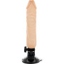 Realistic vibrator with 2 in 1 remote control Phallic sheath BaseCock