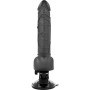 Realistic Vibrator with 2 in 1 Remote Control Penis Sheath BaseCock