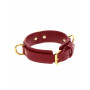 Collare sadomaso D-Ring Collar Deluxe