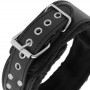 Collare con guinzaglio DARKNESS COLLAR WITH LEASH TITANIUM