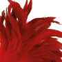 Whip DARKNESS RED FEATHER 24CM