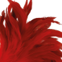 Frustino DARKNESS RED FEATHER 24CM