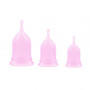 Safe & Dry Menstrual Cups