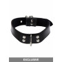 Collare Elegant D-Ring Collar