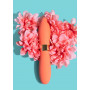 Bullets Deux Double-Ended Silicone Vibrator