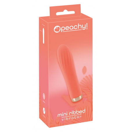 Vibratore vaginale Mini Ribbed Vibrator