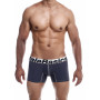 Men's grey boxer shorts MaleBasics Microfiber