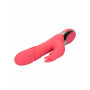 Vibrator up & dovn rabbit Enchanted Exciter