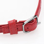 Heart Lock- collar with keys- Red