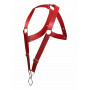 Pettorina rossa DNGEON Crossback Harness