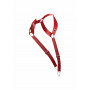 Red Harness DNGEON Straigh Back Harness