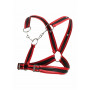 Pettorina rossa DNGEON Cross Chain Harness