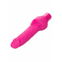 Vibratore stimolatore clitoride rosa Rechargeable stud Cliterrific