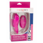 Clitoral Stimulator Remote Flicker Panty Teaser