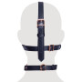 Imbracatura per il viso head harness with a gag