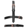 Imbracatura per il viso head harness with a gag