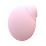 Seductive Pink Clitoral Sucking