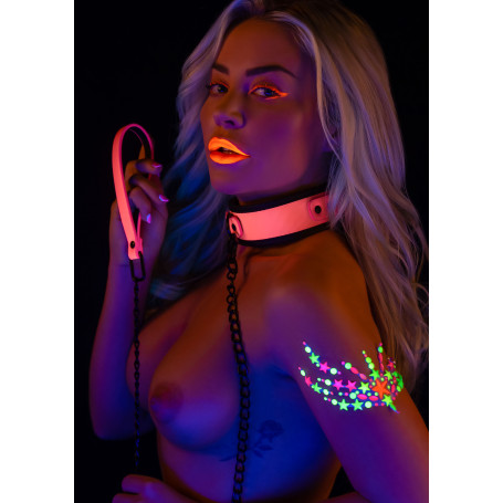 Collar with leash Glow in the dark Collar and Chain Leash