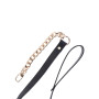 Statement Collar and leash