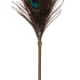 Peacock Tickler Whip