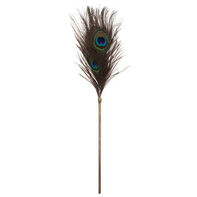 Peacock Tickler Whip