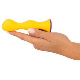 anal vibrator