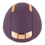 Rotating Vulva Massager