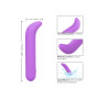 G-spot vibrator Bliss Mini G-Vibe