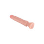Realistic phallus with suction cup Starter Dong 6 Inch pink