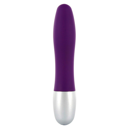 Vibratore classico piccolo Discretion Probe Vibrator purple