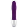 Vibratore classico piccolo Discretion Probe Vibrator purple