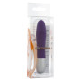 Vibratore classico piccolo Discretion Probe Vibrator purple