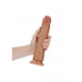 Fallo big tan CURVED REALISTIC DILDO WITH SUCTION CUP - 10''/ 25,5 CM