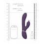 Rabbit vibrator Aimi Purple