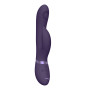 Rabbit vibrator Aimi Purple
