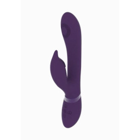 Rabbit vibrator Aimi Purple