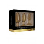 Kit plug Acrylic Goldchip Butt Plug Set - Gold