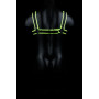 Imbragatura uomo fosforescente Chest Bulldog Harness - GitD - Neon Green/Black