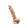 Realistic dildo with suction cup Adam L Silexpan