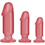 Dildo Anal Starter Kit Pink