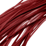 bondage whip Flogger Long Leather red