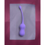 Palline vaginali vibranti Vibrating Egg with Remote Control Violet Harmony