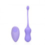 Vibrating Egg with Remote Control Violet Harmony