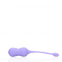 Palline vaginali vibranti Vibrating Egg with Remote Control Violet Harmony