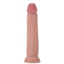 Realistic phallus with suction cup Deluxe Dual Density Dong 14 In