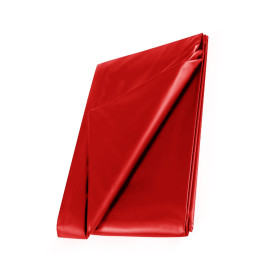 WetPlay PVC Bedsheet 210x200cm red