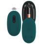Kit per 4 vibratori RC Mini Vibrator with 4 Attachments