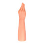 The Hand